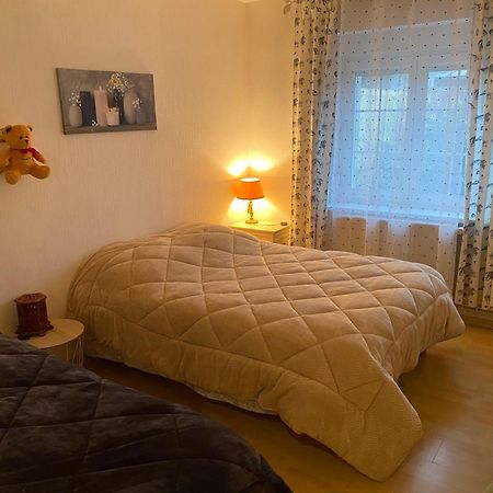Ferienwohnung Au Coeur Des Vosges Laval-sur-Vologne Exterior foto