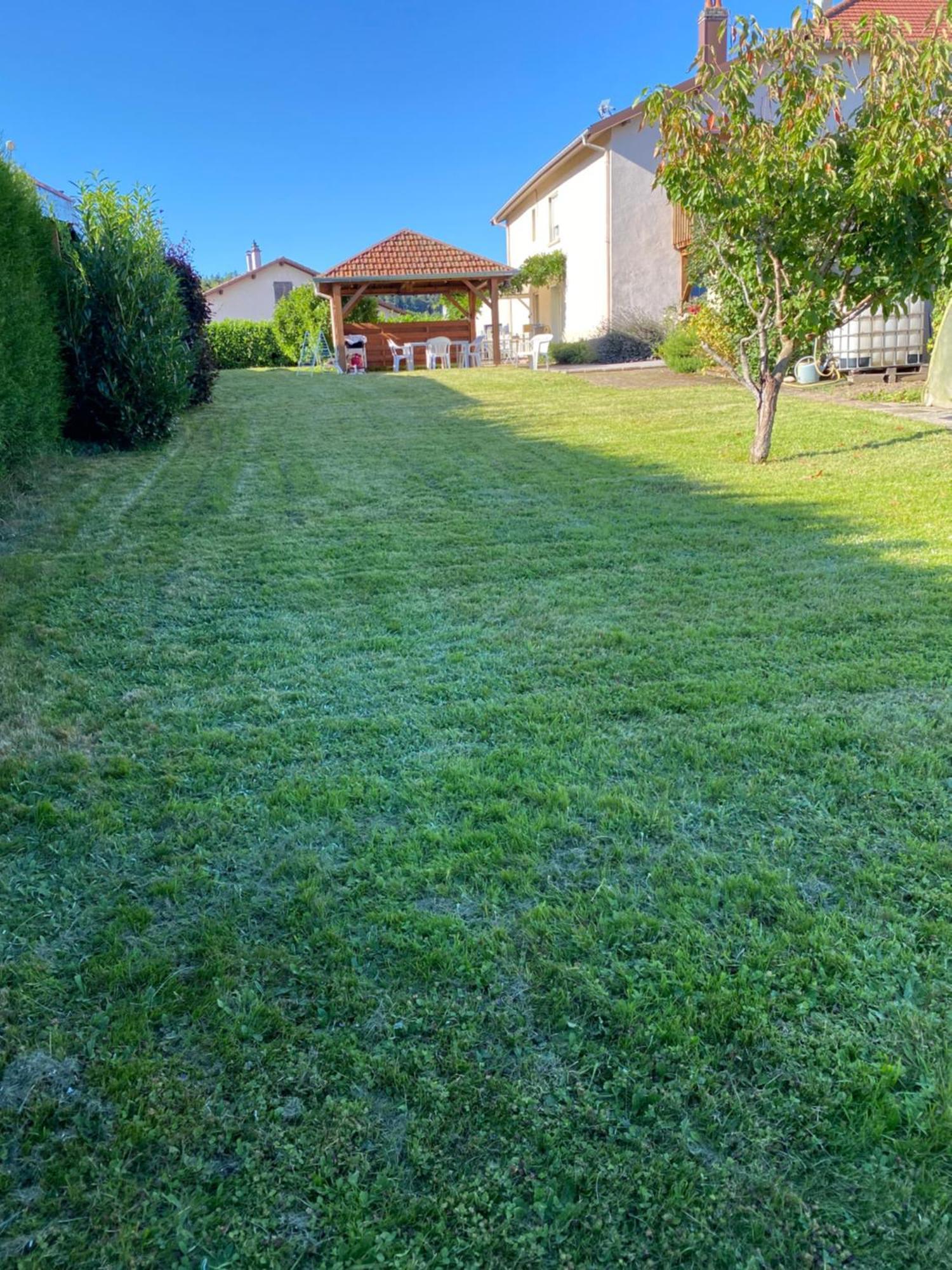 Ferienwohnung Au Coeur Des Vosges Laval-sur-Vologne Exterior foto